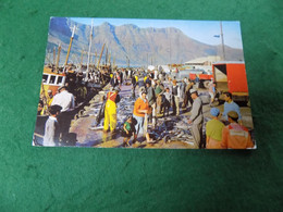VINTAGE AFRICA SOUTH AFRICA: Cape Hout Bay Snoek Colour 1964 McNally - South Africa