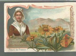 CH  / CHROMO Image Fleurs De FRANCE ARNICA DES MONTAGNES - Albumes & Catálogos