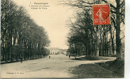 -45 - LOIRET - COURTENAY - L'Avenue Des Ormes-Champ De Foire - Courtenay