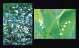 FINLAND 2002 Forget-me-Not & Lily-of-the-Valley: Set Of 2 Postcards MINT/UNUSED - Postal Stationery