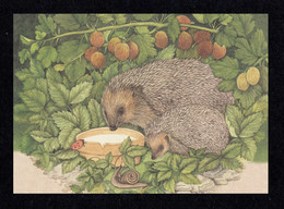 FINLAND 2003 Hedgehog: Postcard MINT/UNUSED - Postal Stationery