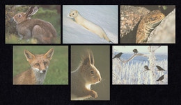 FINLAND 2004 Animals Of The Forest: Set Of 6 Postcards MINT/UNUSED - Postal Stationery
