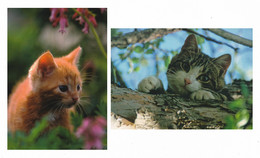 FINLAND 2006 Cats: Set Of 2 Postcards MINT/UNUSED - Postal Stationery