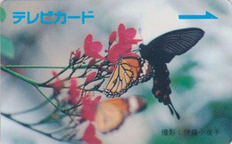 Carte Prépayée JAPON - ANIMAL - PAPILLON Sur Fleur - BUTTERFLY On Flower - JAPAN Prepaid Television TV Card  - 304 - Butterflies