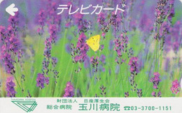 Carte Prépayée JAPON - ANIMAL - PAPILLON Sur Fleur Lavande * Tamagawa Hospital * BUTTERFLY JAPAN Prepaid TV Card  - 307 - Vlinders
