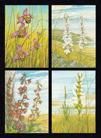 IRELAND 1993 Irish Orchids: Set Of 4 Postcards MINT/UNUSED - Postwaardestukken