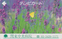 Carte Prépayée JAPON - ANIMAL - PAPILLON Sur Fleur Lavande - BUTTERFLY On Flower JAPAN Prepaid Television TV Card  - 309 - Schmetterlinge