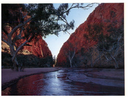 (Y 16) Australia - NT - Central Australia (2 Postcards) - The Red Centre