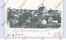 0-8291 PANSCHWITZ - KUCKAU, Kloster Marienstern, Relief-Karte 1900 - Panschwitz-Kuckau