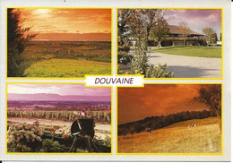 74. CPM. Haute Savoie. Douvaine. Multi-vues (4 Vues) - Douvaine