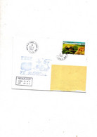 Taaf Amsterdam Base Martin Du Vivies Lettre 23/1/2007 Dans Les Jardins D'Amsterdam Passages Du FS Floréal - Used Stamps