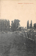 Gémozac          17          Courses De Chevaux.          (voir Scan) - Sonstige & Ohne Zuordnung