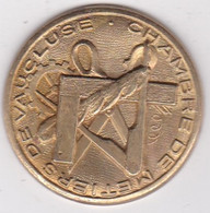 Médaille 50e Anniversaire De La Chambre Des Métiers De Vaucluse ND (1987) - Firma's