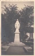 Photographie - Statue De La Vierge Marie - Cour - Ecole ? - Lieu à Situer - Photographs