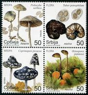 Serbia (2019) - Set -  /  Mushrooms - Funghi - Champignons - Setas - Hongos