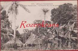 Afrique Occidentale Francaise Sénégal Dakar AOF Une Palmeraie - Cueillette Du Vin De Palme (En Très Bon état) - Sénégal
