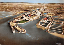 Marennes           17         La Cayenne . Vue Aérienne    (voir Scan) - Marennes