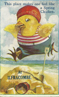 ILFRACOMBE - COMIC CARD - SPRING CHICKEN - ARTIST SIGNED MEADONS - - Ilfracombe