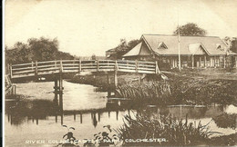 RIVER COLNE - CASTLE PARK - COLCHESTER - ESSEX - Colchester