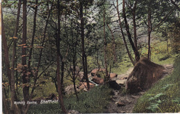 Sheffield, Wyming Ravine (pk75098) - Sheffield