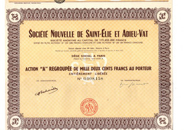 Action A Regroupée De 1200 Frcs Au Porteur - Société Nouvelle De Saint-Elie Et Adieu-Vat - Paris 1953. - Industry