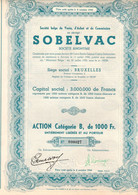 Action Catégorie B De 1000 Frcs Au Porteur -Société Belge De Vente, D'Achat Et De Commission - SOBELVAC - Bruxelles 1950 - Banque & Assurance