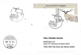 Postmark - Portuguese Autochtnonous Breeds 3º Group - The "Churra Algarvia" Sheep (Stamp From Miniature Sheet) - Farm