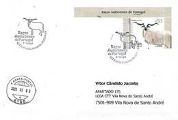 Postmark - Portuguese Autochtnonous Breeds 3º Group - The "Churra Algarvia" Sheep (Stamp From Miniature Sheet) - Farm