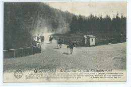 Groenendael Arrivée Sur La Piste D'entraînement ( Griffe Postale Hoeylaert ) - Höilaart