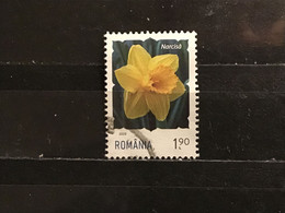 Roemenië / Romania - Bloemen (1.90) 2020 - Oblitérés