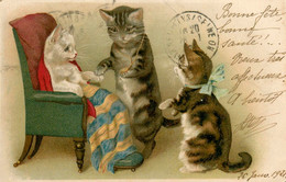 Chats Humanisés * CPA Illustrateur * Le Médecin , Docteur * Chat Cat Cats Katze - Katzen