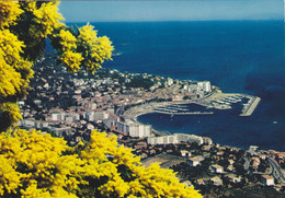 Delcampe - 83,VAR,SAINTE MAXIME - Sainte-Maxime