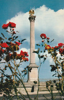 MONTMIRAIL. - La Colonne Commémorative De La Victoire De Napoléon Du 11 Février 1814 - Montmirail