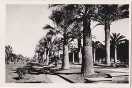 Casablanca Le Parc Lyautey, Voir Scan Du Dos, Correspondance Militaire - Casablanca