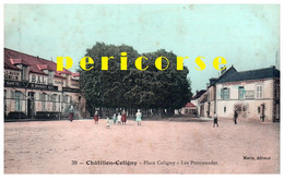 45  Chatillon Coligny  Café  Bal   Les Promenades - Chatillon Coligny