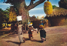 AFRIQUE,AFRICA,AFRIKA,SENEGAL,FEMME MIGNONNE,VILLAGE - Sénégal