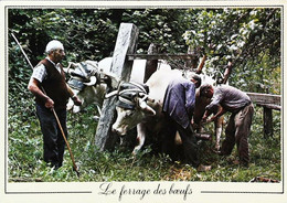 ►    Le Ferrage Des Boeufs     Attelage - Attelages