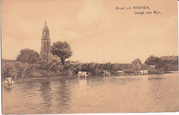 Rhenen Rijn Koeien ST212 - Rhenen