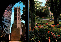 4954 Carte Postale PAMIERS Les Jardins Et La Cathédrale Saint Antonin          09 Ariège - Pamiers