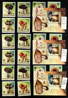 FUNGI GUINEA 1977-1999 Superb Never Hinged Mint Collection On Stock Pages, All Different, Includes 1977 Perf & Imperf Se - Unclassified