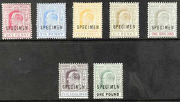1902-07 KEVII Complete Set With "SPECIMEN" Overprints, SG 62s/70s, Fine Mint, Scarce. (7 Stamps) For More Images, Please - Andere & Zonder Classificatie