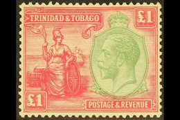 1922-28 £1 Green And Bright Rose, SG 229, Mint Lightly Hinged. For More Images, Please Visit Http://www.sandafayre.com/i - Trindad & Tobago (...-1961)