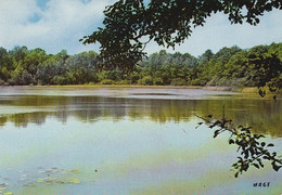 MONTMIRAIL. - L'Etang De Rouge Fossé - Montmirail