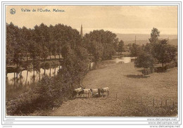 MELREUX ..--  Vallée De L' Ourthe . Vaches . - Hotton