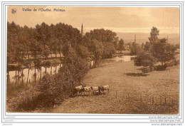 MELREUX ..--  Vallée De L' Ourthe . Vaches Animation .Voir Verso . - Hotton