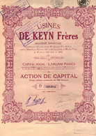 Action De Capital D'une Valeur Nominale De 500 Frcs - Peintures - Usines DE KEYN Frères S.A. - Bruxelles 1927. - Industrie