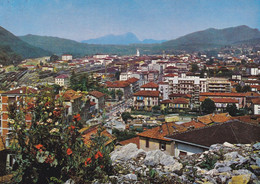 (ST575) - CHIASSO (Canton Ticino) - Panorama - Chiasso