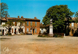 Salvagnac * Place Du Village Et Monument Aux Morts - Salvagnac