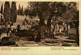 Pays Divers  / Israël / Jérusalem / Jardin De Gethsémané - Israel