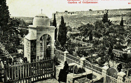 Pays Divers  / Israël / Jerusalem / Jardin De Gethsémane - Israel